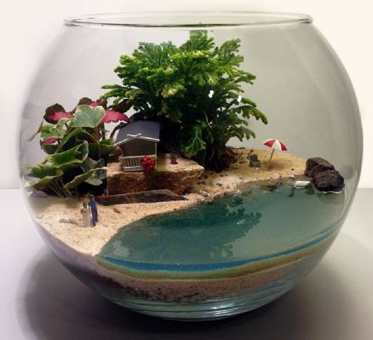 41 idées de mini jardins dans des bocaux en verre 23