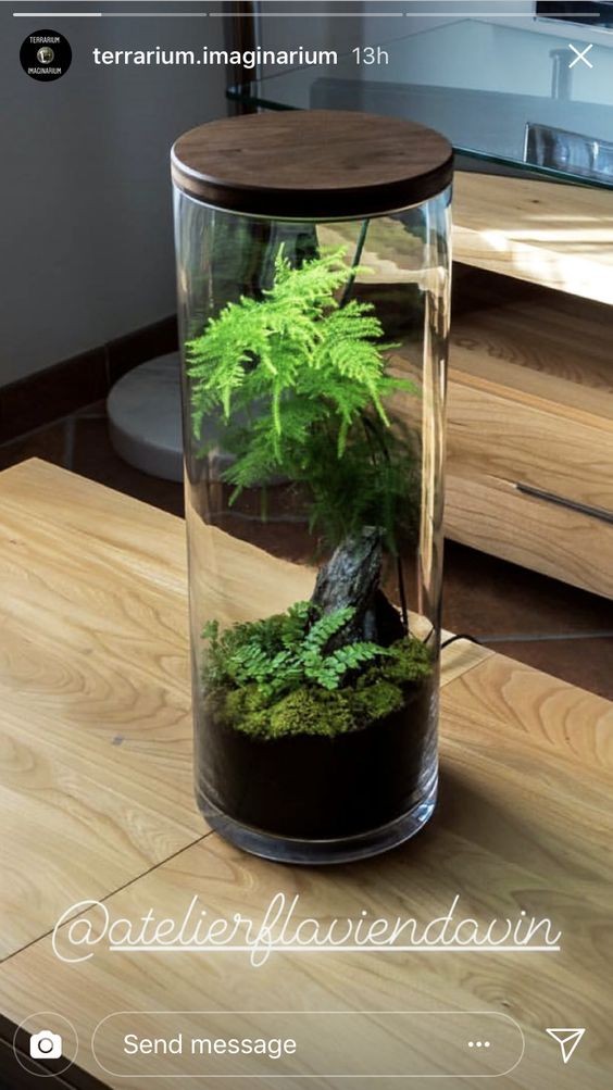 41 idées de mini jardins dans des bocaux en verre 27