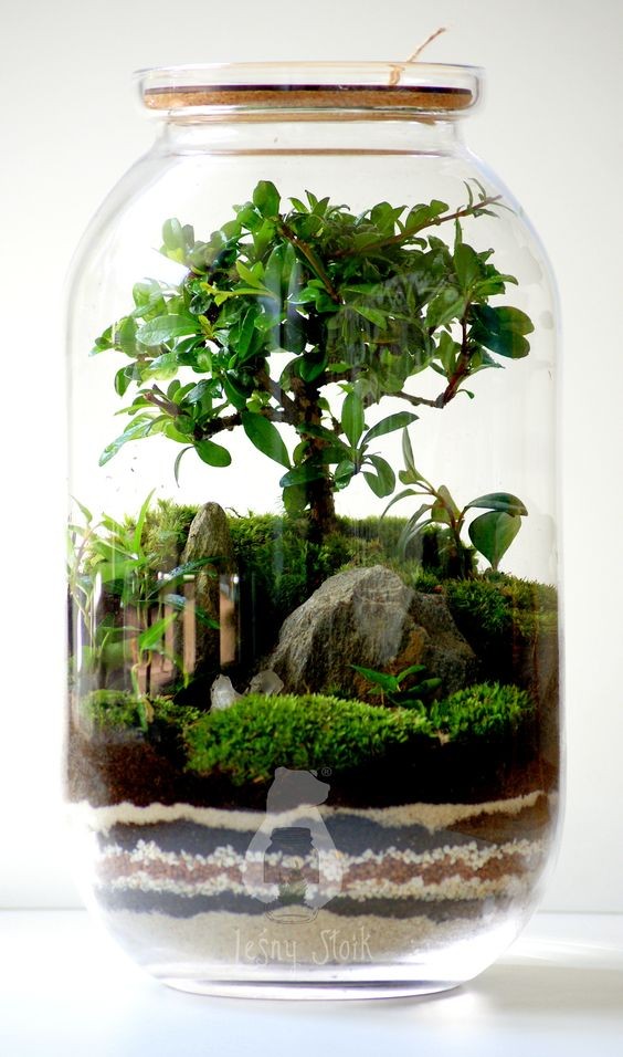 41 idées de mini jardins dans des bocaux en verre 28
