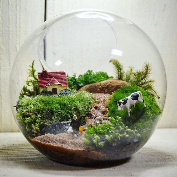41 idées de mini jardins dans des bocaux en verre 31