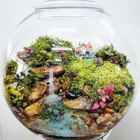 41 idées de mini jardins dans des bocaux en verre 34