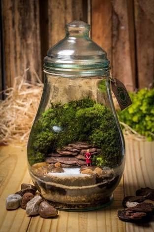 41 idées de mini jardins dans des bocaux en verre 35