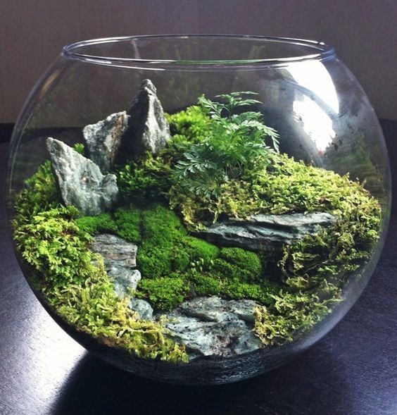 41 idées de mini jardins dans des bocaux en verre 36