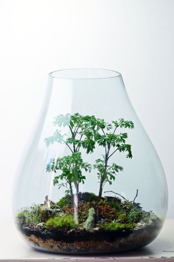41 idées de mini jardins dans des bocaux en verre 40