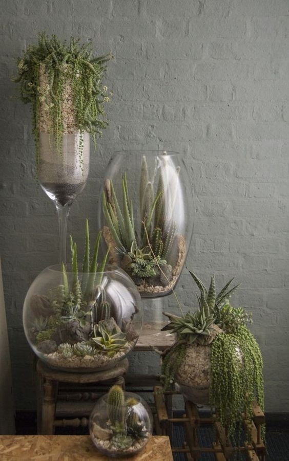 41 idées de mini jardins dans des bocaux en verre 5