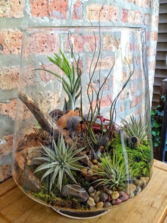 41 idées de mini jardins dans des bocaux en verre 41