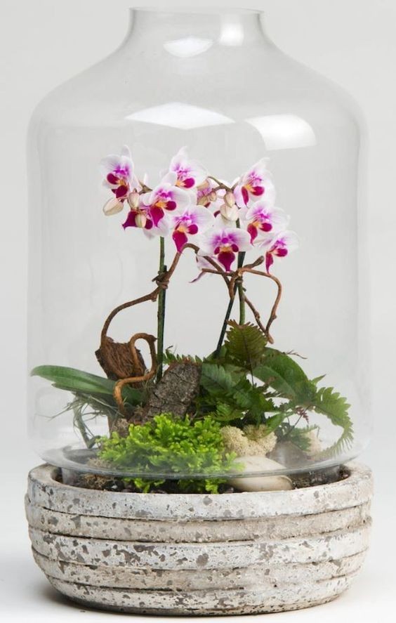 41 idées de mini jardins dans des bocaux en verre 8