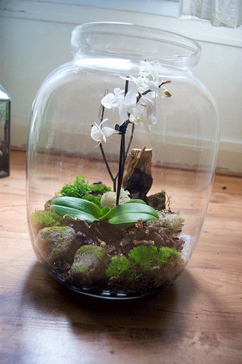 41 idées de mini jardins dans des bocaux en verre 9