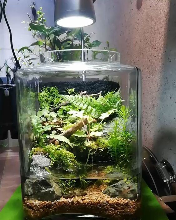 41 idées de mini jardins dans des bocaux en verre 10