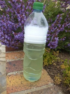 5 astuces naturelles pour désherber le jardin facilement 9 5 astuces naturelles pour désherber le jardin facilement 9