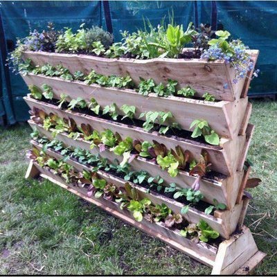 27 top idées de potagers à faire avec des palettes 1 27 top idées de potagers à faire avec des palettes 1