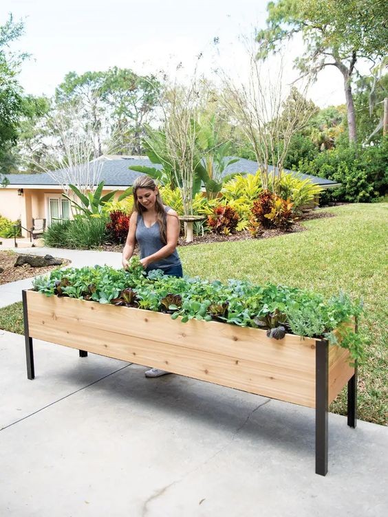 27 top idées de potagers à faire avec des palettes 23 27 top idées de potagers à faire avec des palettes 23