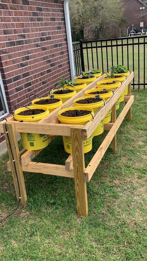 27 top idées de potagers à faire avec des palettes 25 27 top idées de potagers à faire avec des palettes 25