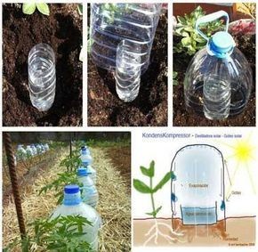 10 astuces pour économiser l'eau dans votre jardin 3 10 astuces pour économiser l'eau dans votre jardin 3