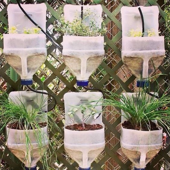 10 astuces pour économiser l'eau dans votre jardin 6 10 astuces pour économiser l'eau dans votre jardin 6