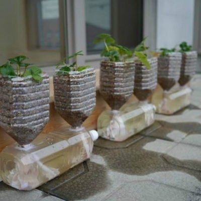 10 astuces pour économiser l'eau dans votre jardin 8 10 astuces pour économiser l'eau dans votre jardin 8