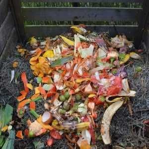 5 astuces géniales pour entretenir son jardin facilement 7