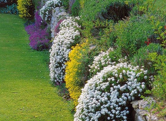 5 astuces géniales pour entretenir son jardin facilement 9