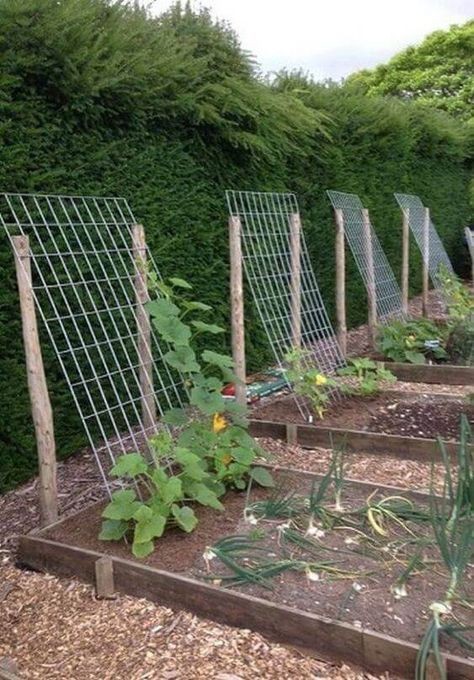 5 astuces jardinage pour réussir son premier potager 3 5 astuces jardinage pour réussir son premier potager 3
