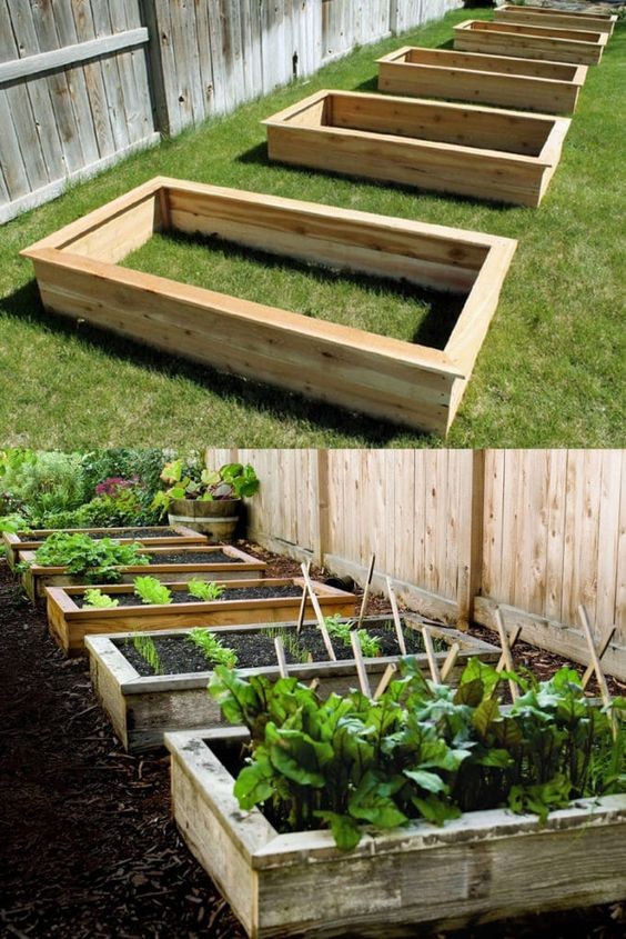 5 astuces jardinage pour réussir son premier potager 10 5 astuces jardinage pour réussir son premier potager 10