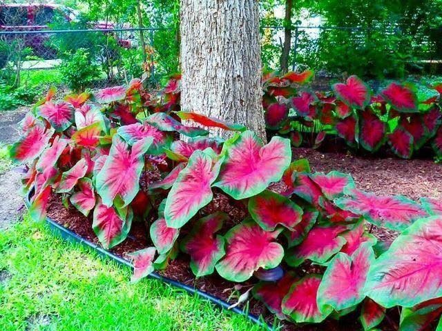 80 super idées pour apprendre à décorer son jardin 22 80 super idées pour apprendre à décorer son jardin 22
