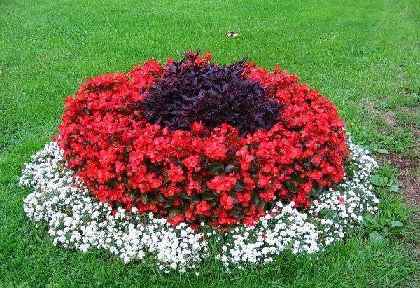 80 super idées pour apprendre à décorer son jardin 26 80 super idées pour apprendre à décorer son jardin 26