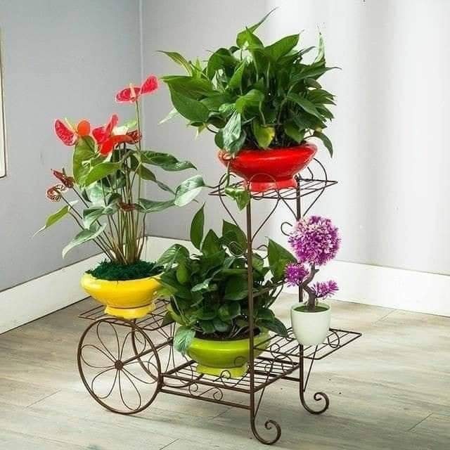 Les 100 plus belles étagères pour plantes 70