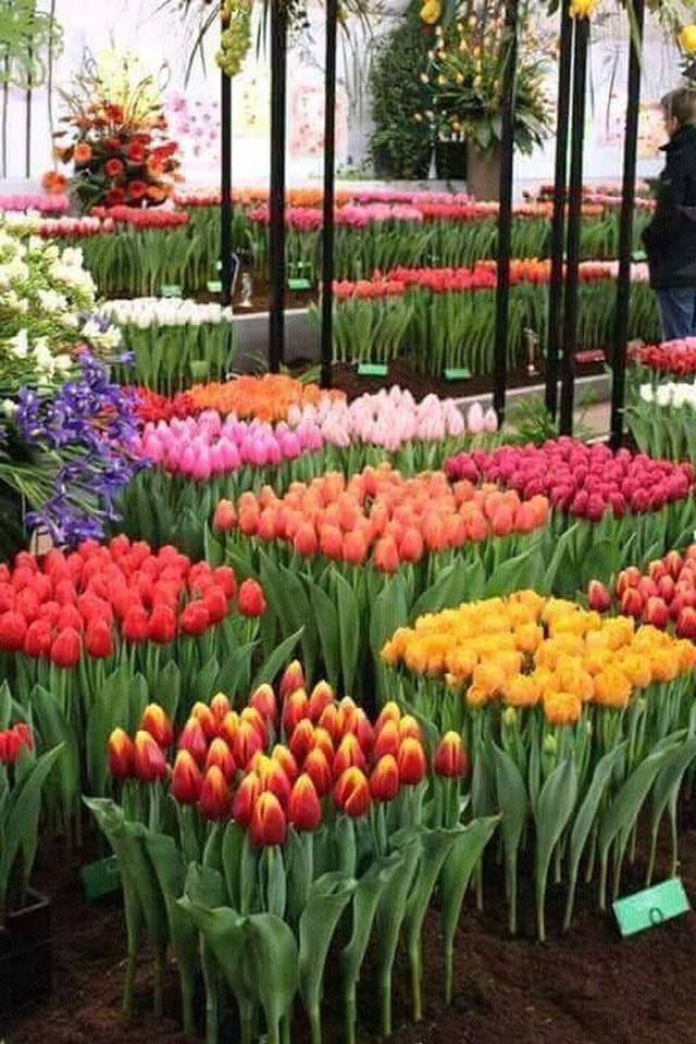 80 super idées pour apprendre à décorer son jardin 32 80 super idées pour apprendre à décorer son jardin 32