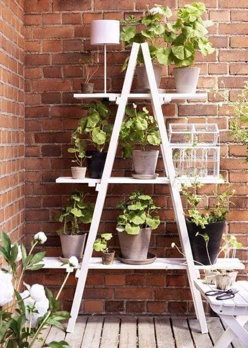 Les 100 plus belles étagères pour plantes 82