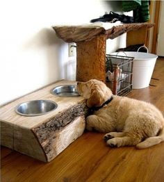 11 top idées de gamelles pour chiens en palettes 5 11 top idées de gamelles pour chiens en palettes 5