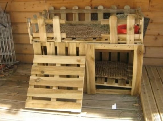 50 idées de maisons pour nos amis les animaux 2