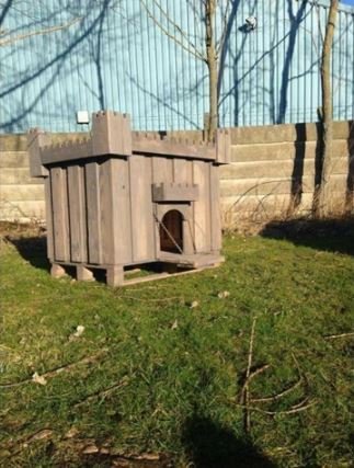 50 idées de maisons pour nos amis les animaux 11