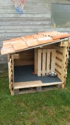 50 idées de maisons pour nos amis les animaux 12