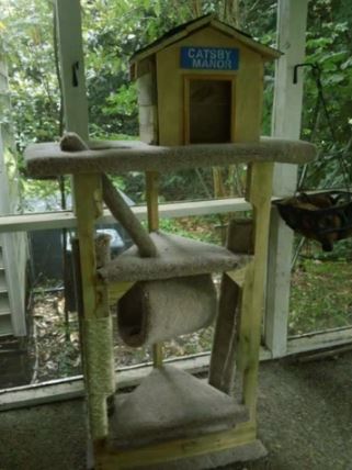 50 idées de maisons pour nos amis les animaux 16