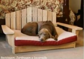 50 idées de maisons pour nos amis les animaux 30