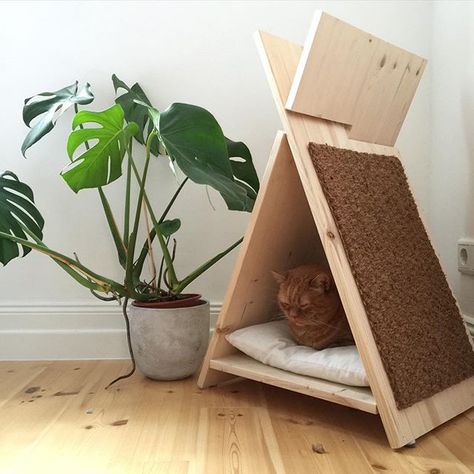 50 idées de maisons pour nos amis les animaux 36