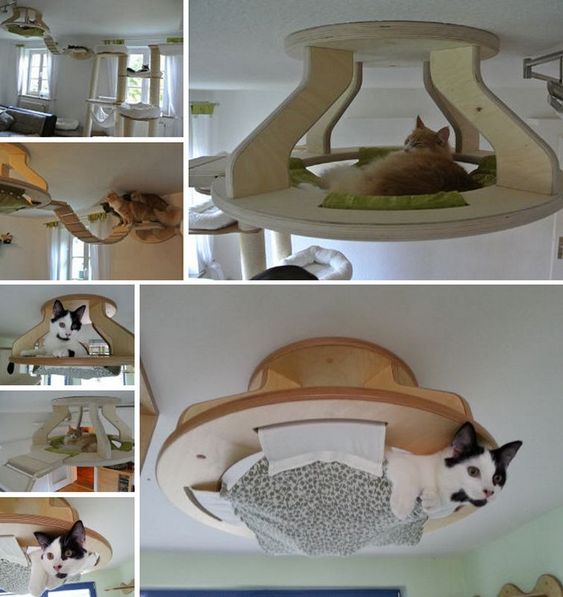 50 idées de maisons pour nos amis les animaux 41