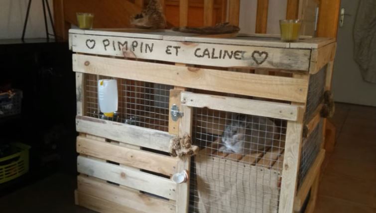 50 idées de maisons pour nos amis les animaux 44