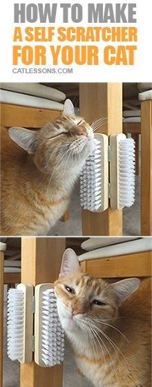 50 idées de maisons pour nos amis les animaux 47
