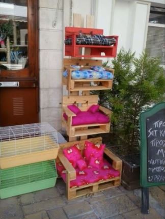 50 idées de maisons pour nos amis les animaux 49