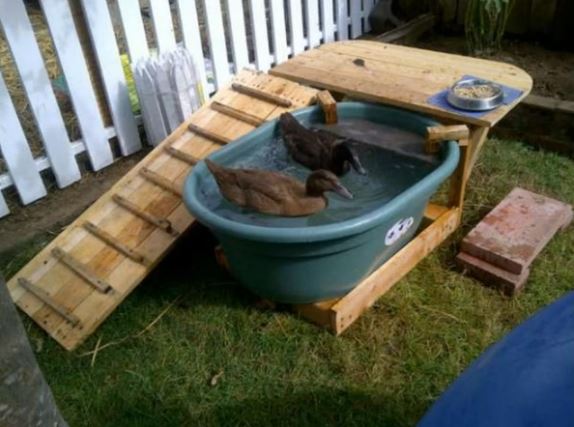 50 idées de maisons pour nos amis les animaux 53
