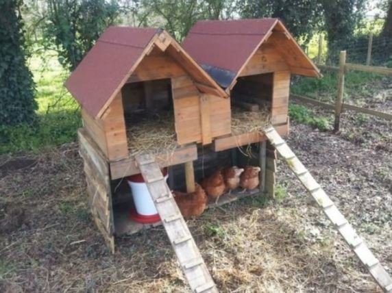 50 idées de maisons pour nos amis les animaux 54