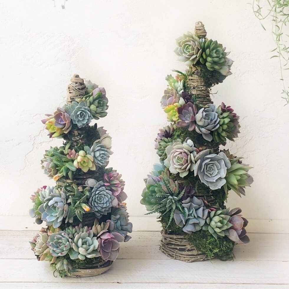 20 arbres de Noël pour les petits espaces (alternatives aux arbres de Noël) 20