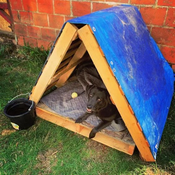 20 cabanes pour chien que vous pouvez faire avec des palettes 6 20 cabanes pour chien que vous pouvez faire avec des palettes 6