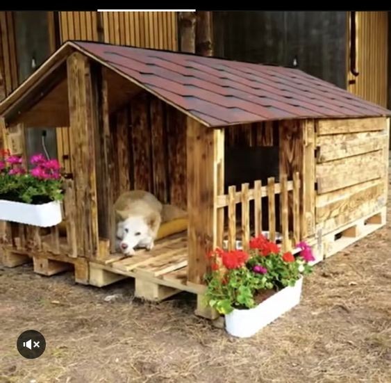 20 cabanes pour chien que vous pouvez faire avec des palettes 12 20 cabanes pour chien que vous pouvez faire avec des palettes 12