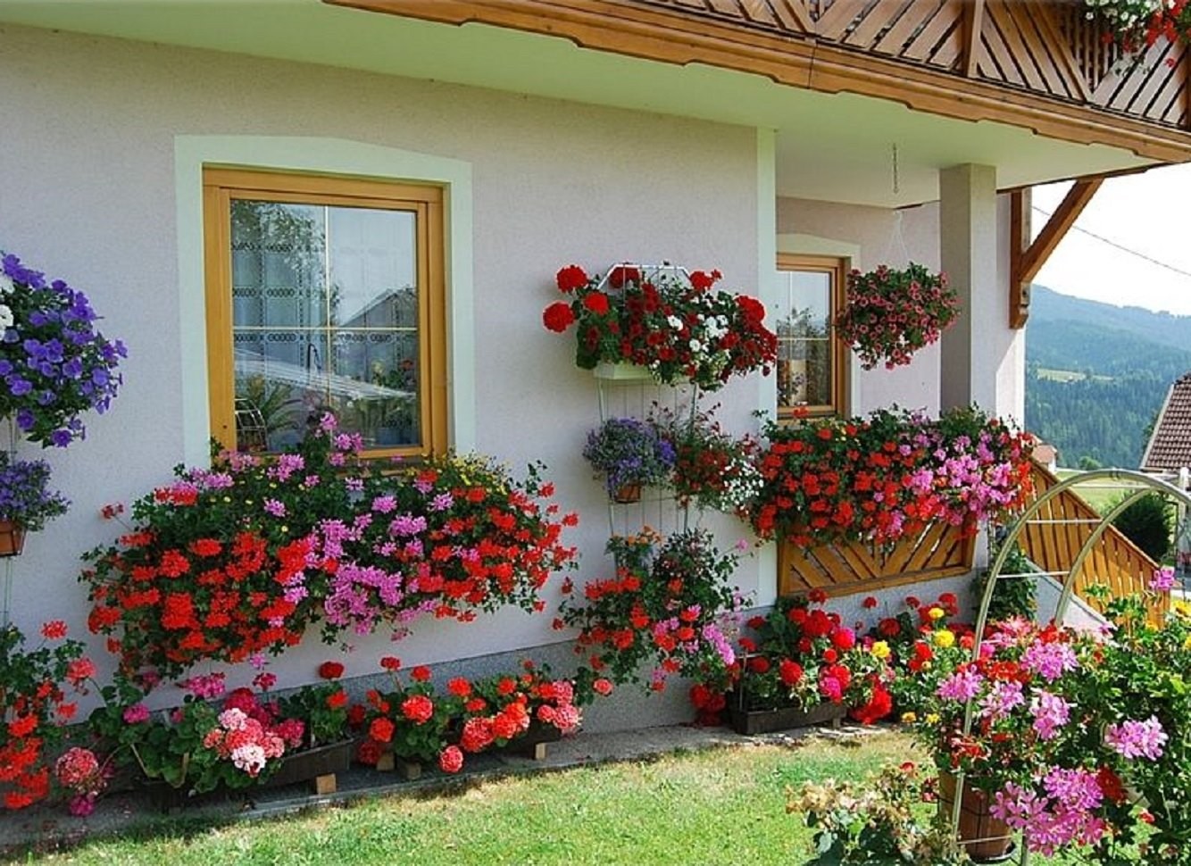 15 idées de décorations pour un jardin vertical 1 15 idées de décorations pour un jardin vertical 1