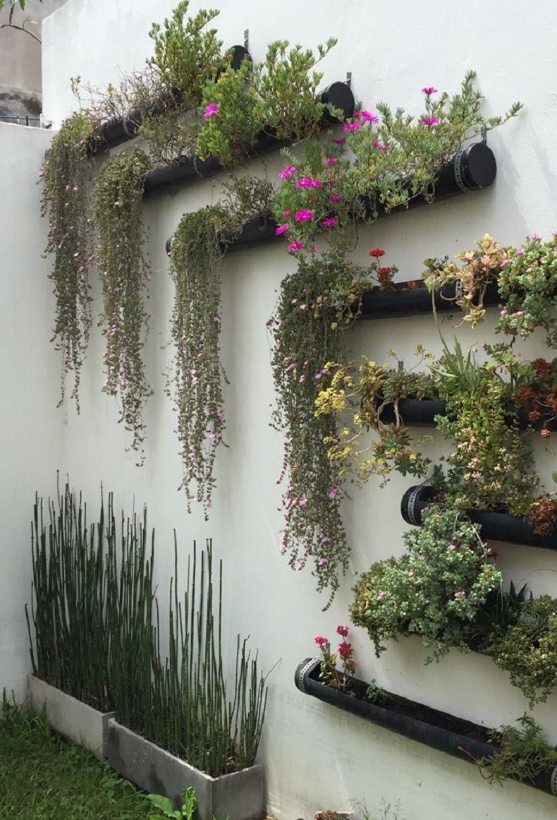 15 idées de décorations pour un jardin vertical 6 15 idées de décorations pour un jardin vertical 6