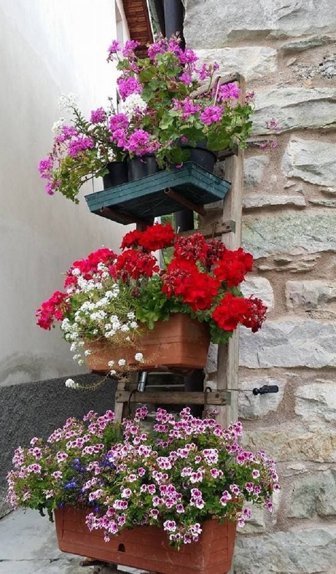 15 idées de décorations pour un jardin vertical 15 15 idées de décorations pour un jardin vertical 15