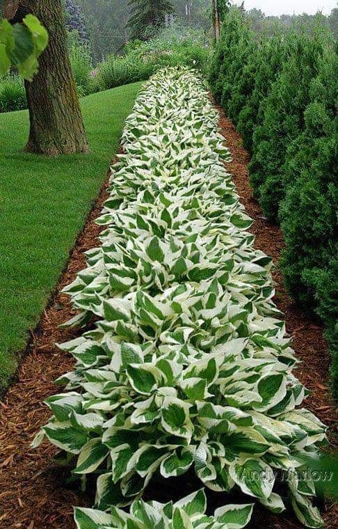 50 idées de couloirs de jardins qui donneront une touche magnifique à votre extérieur 31 50 idées de couloirs de jardins qui donneront une touche magnifique à votre extérieur 31