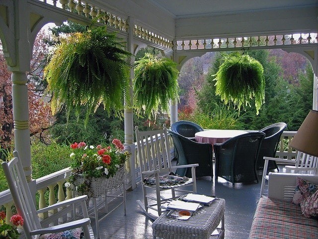 35 idées pour décorer une maison avec des plantes 6 35 idées pour décorer une maison avec des plantes 6